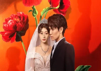 金燕还巢当感恩（55集）晓杨&刘曙瑞海报