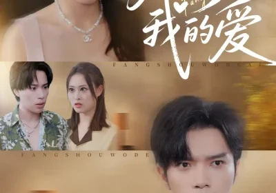 放手我的爱（47集）史庭赫&苗淼海报