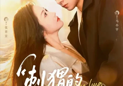 刺猬的拥抱（71集）马小宇＆张晋宜海报