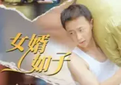 女婿如子（40集）海报