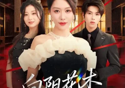 新：向阳花木易为春（72集）钟莹玲&向帅海报