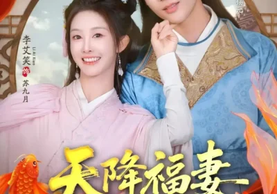 天降福妻傻夫郎（85集）林昱希&李艾笑海报