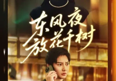 东风夜放花千树&燕西误尽瑶台月（91集）白羽&高明君海报