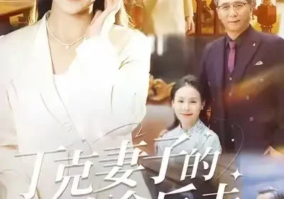 丁克妻子的致命反击（60集）王洁海报