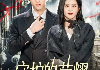 守护的荣耀（69集）杨晨&陈云汐海报