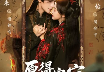 愿得安宁锦瑟鸣（64集）朱一未＆白昕怡（夫妻档）海报