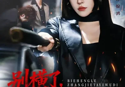 别横了长姐她已无敌（75集）李家宝&车芊云&孙启鑫海报