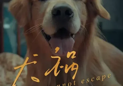 犬祸难逃（33集）刘丹＆青哥海报