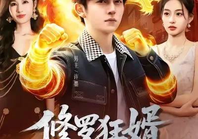 修罗狂婿（114集）鸡翅＆文昕海报