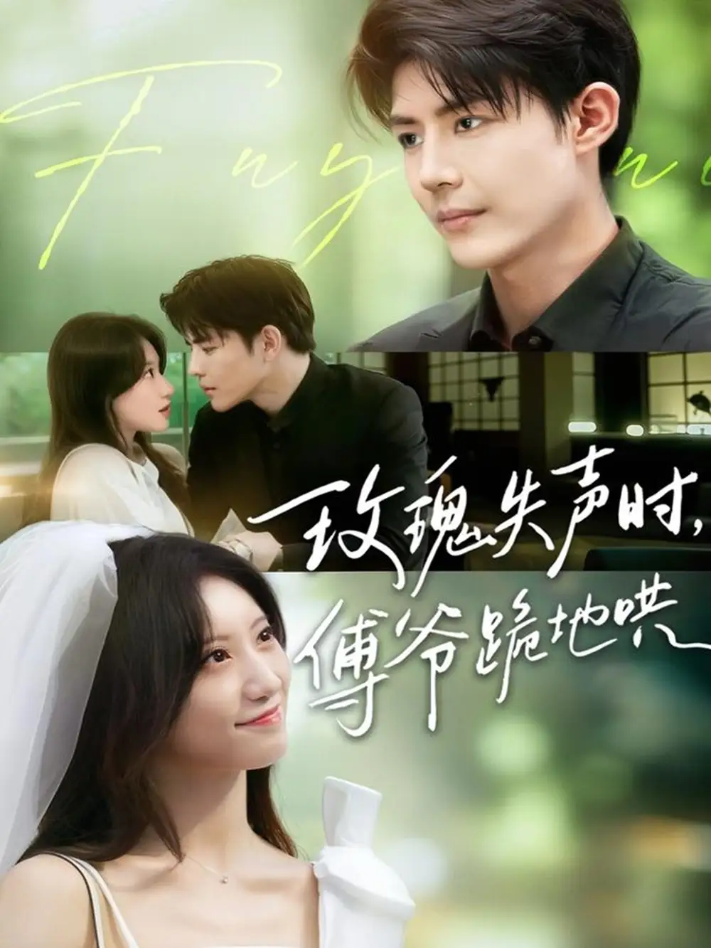 玫瑰失声时傅爷跪地哄（70集）詹妮＆于济玮海报