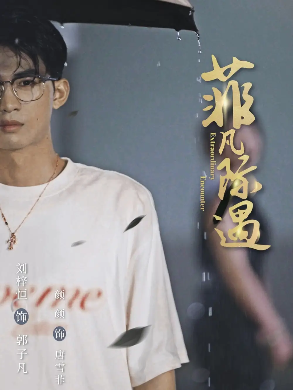 菲凡际遇(100集)刘梓恒&颜颜高清海报图片 菲凡际遇(100集)刘梓恒&颜颜海报