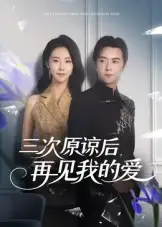 三次原谅后再见我的爱(80集)袁宁高清海报图片 三次原谅后再见我的爱(80集)袁宁海报