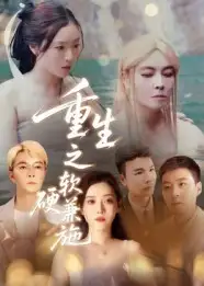 重生之软硬兼施(41集)蒋凌高清海报图片 重生之软硬兼施(41集)蒋凌海报