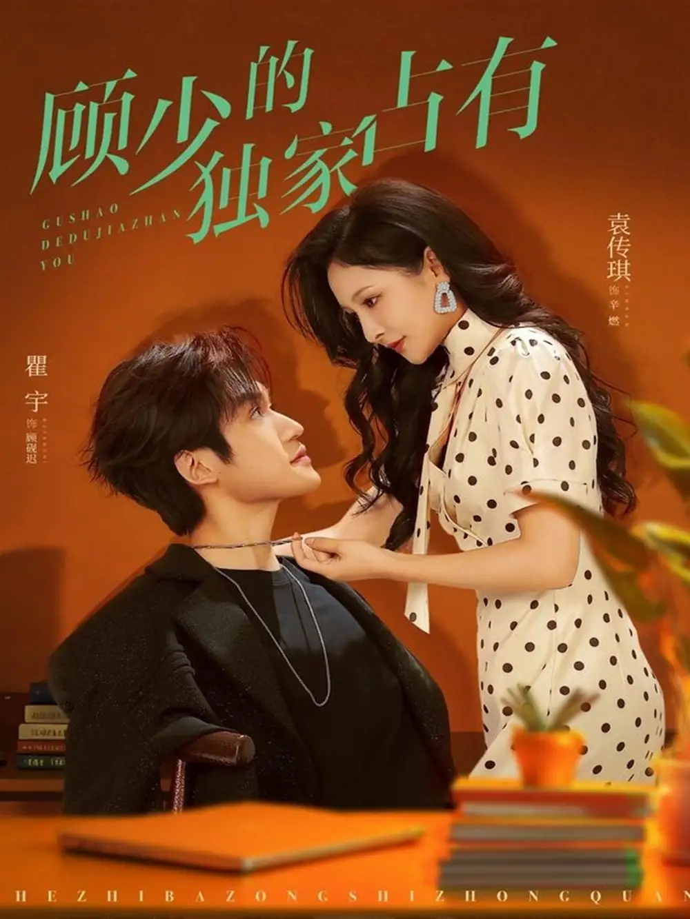 顾少的独家占有（66集）袁传琪&瞿宇海报