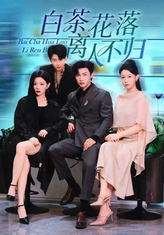 白茶花落离人（51集）沈国洋&林初海报