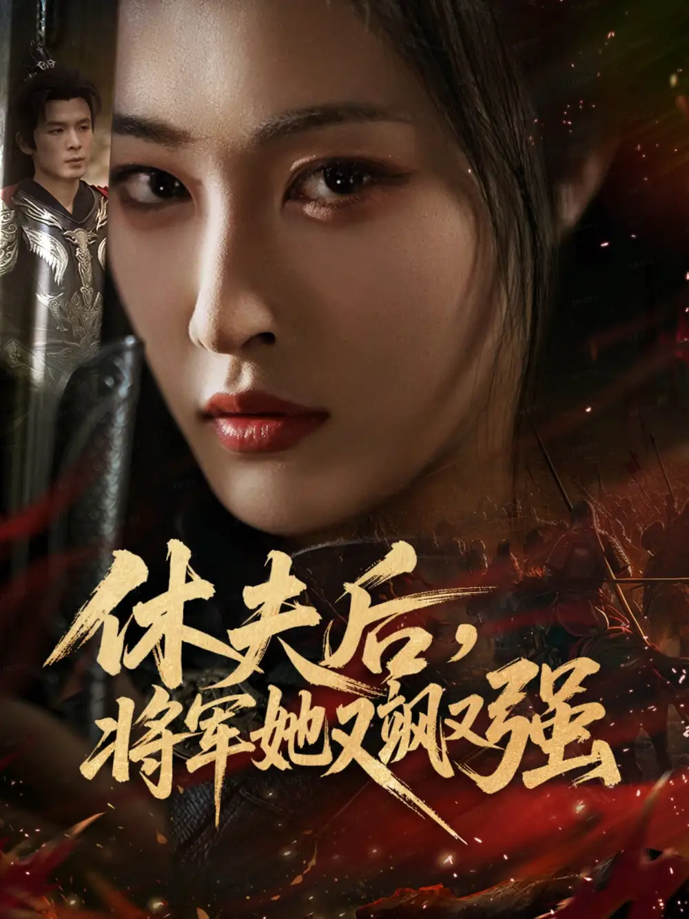 休夫后，将军她又飒又强（61集）刘星辰＆翟炯海报