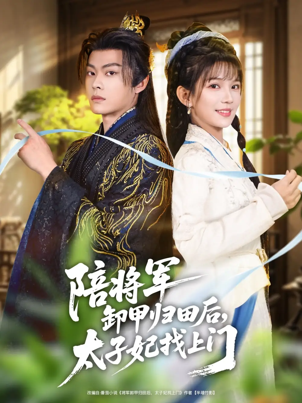 陪将军卸甲归田后，太子妃找上门（60集）朱芝琳&朱城玮海报